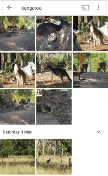 Google Photos