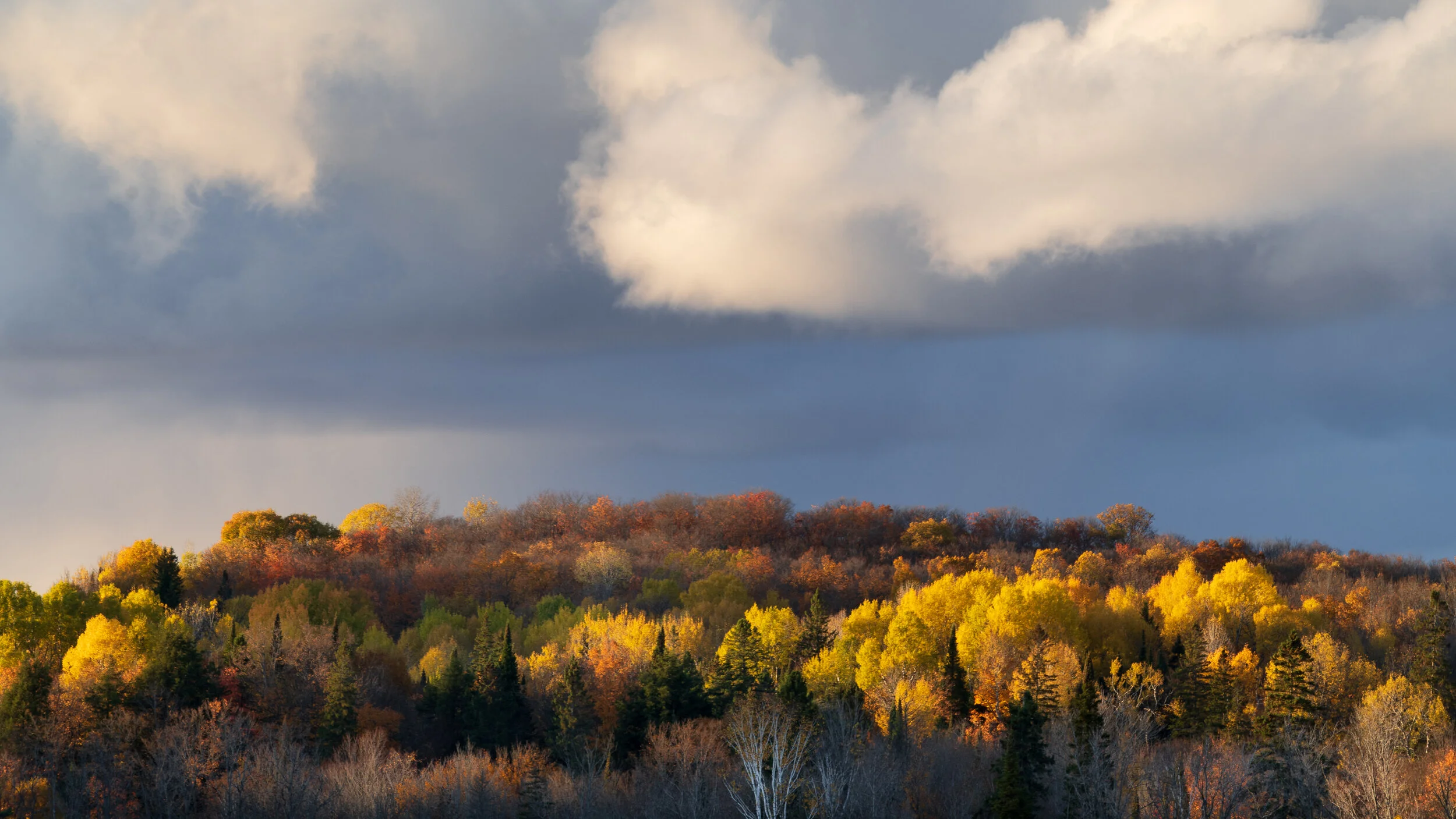Autumnal views — Sebastien Le Calvez