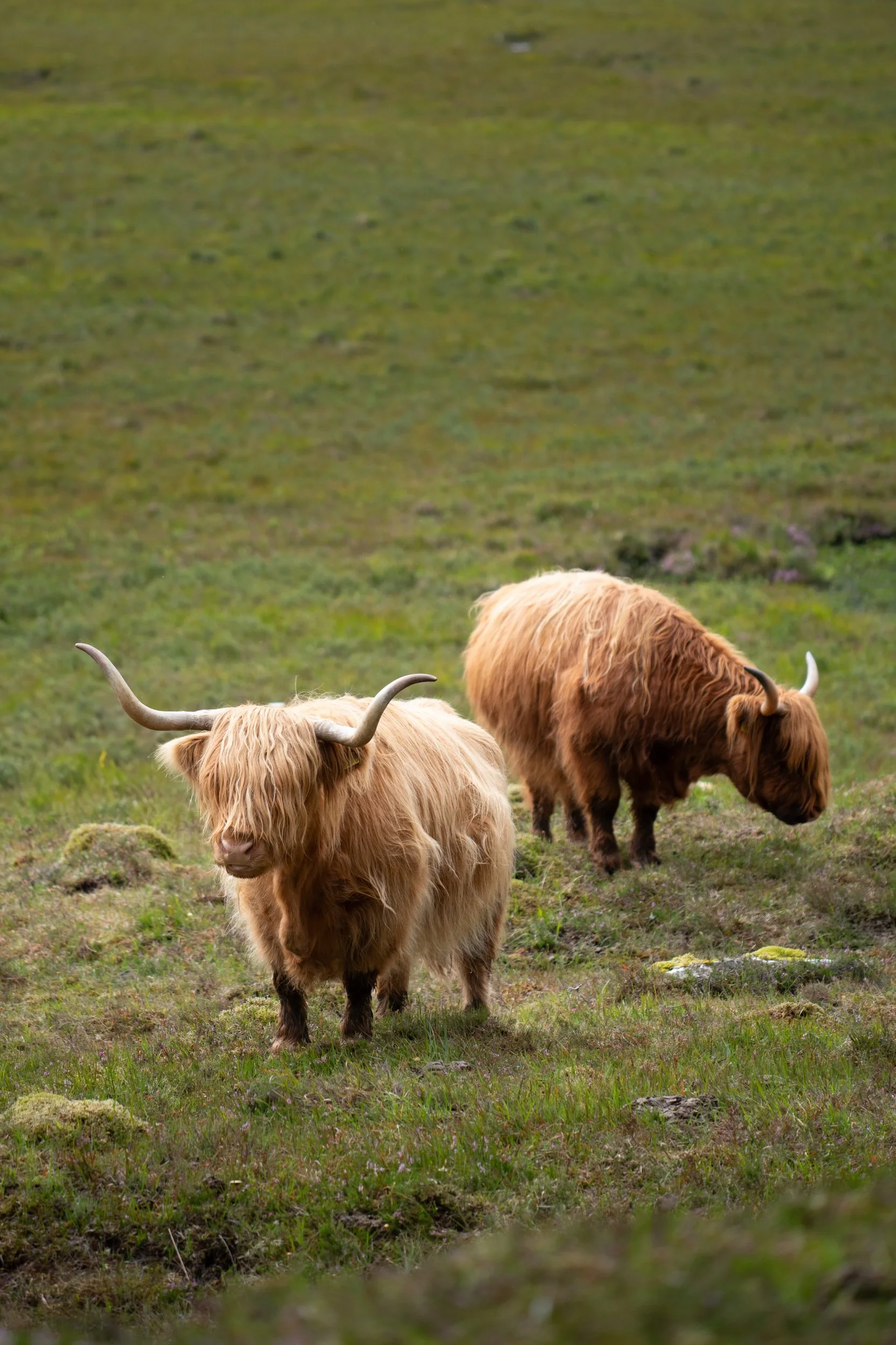 _DSC1613.jpeg
