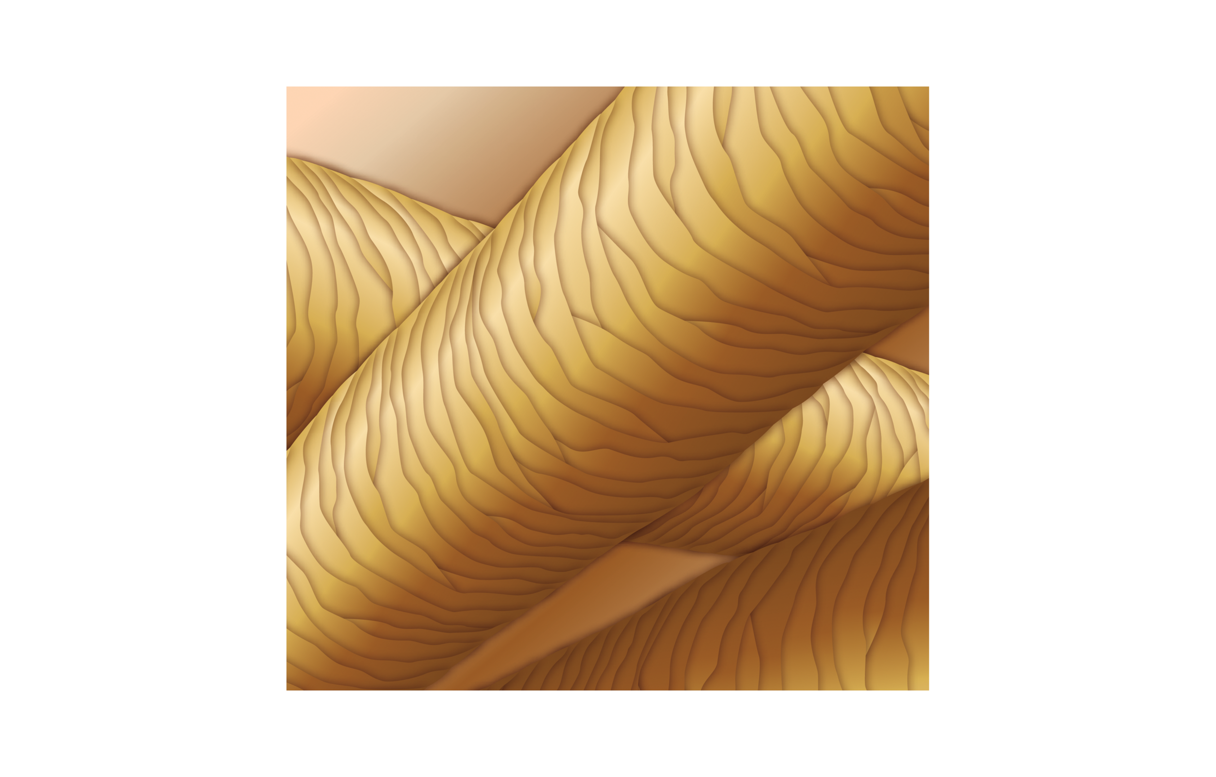 2_hairhealthycuticle.png