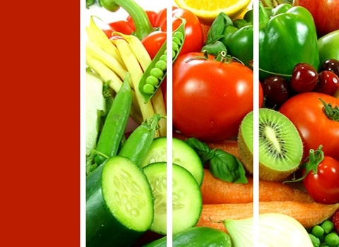 online dietitian, best app for nutrition advice, lose weight app, dietitian app