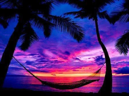 hammock.jpg