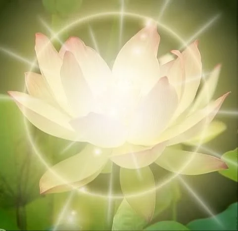 healing-lotus.jpg