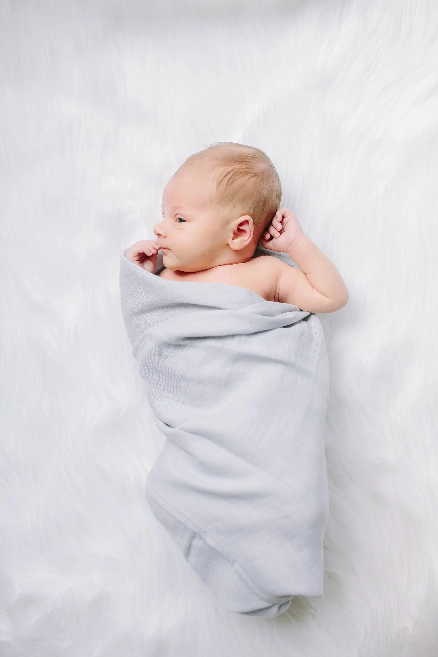 judefreynewborn-166.jpg