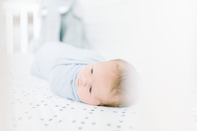 Baby Ridley 💙 I wouldn&rsquo;t say all these babies I&rsquo;m photographing are giving me baby fever, but I definitely miss that can&rsquo;t crawl away from you (and can&rsquo;t try to climb everything) stage! 😅