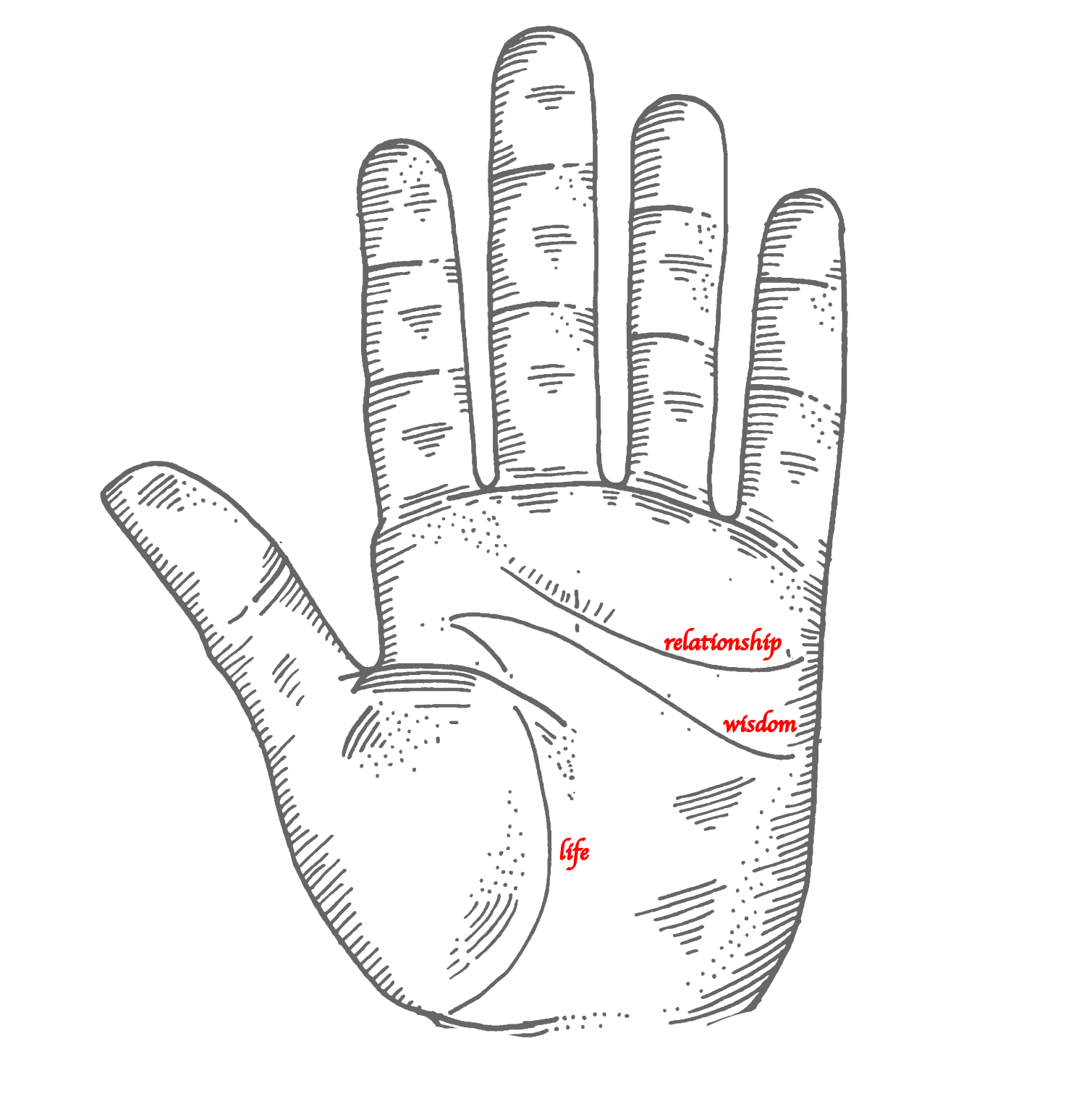 palm_reading流程图-02.png