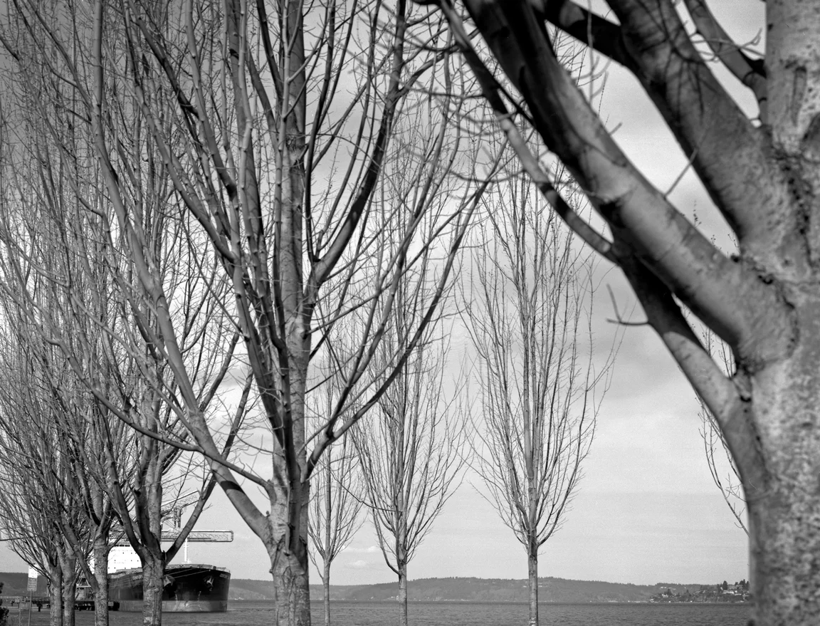 Ship And Trees, Commencement Bay, Tacoma