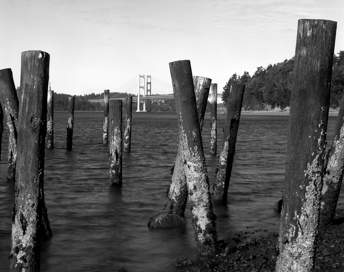 Narrows, From Titlow Beach, With Ferry Terminal Pilings