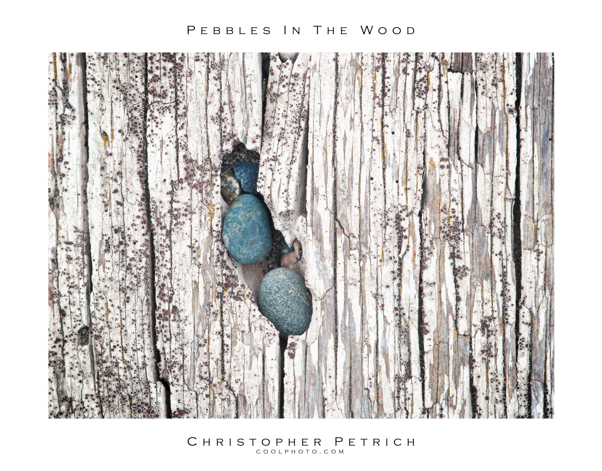 Pebbles In The Wood