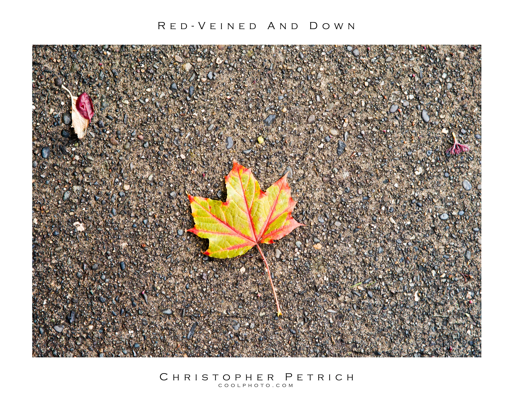Red-Veined And Down