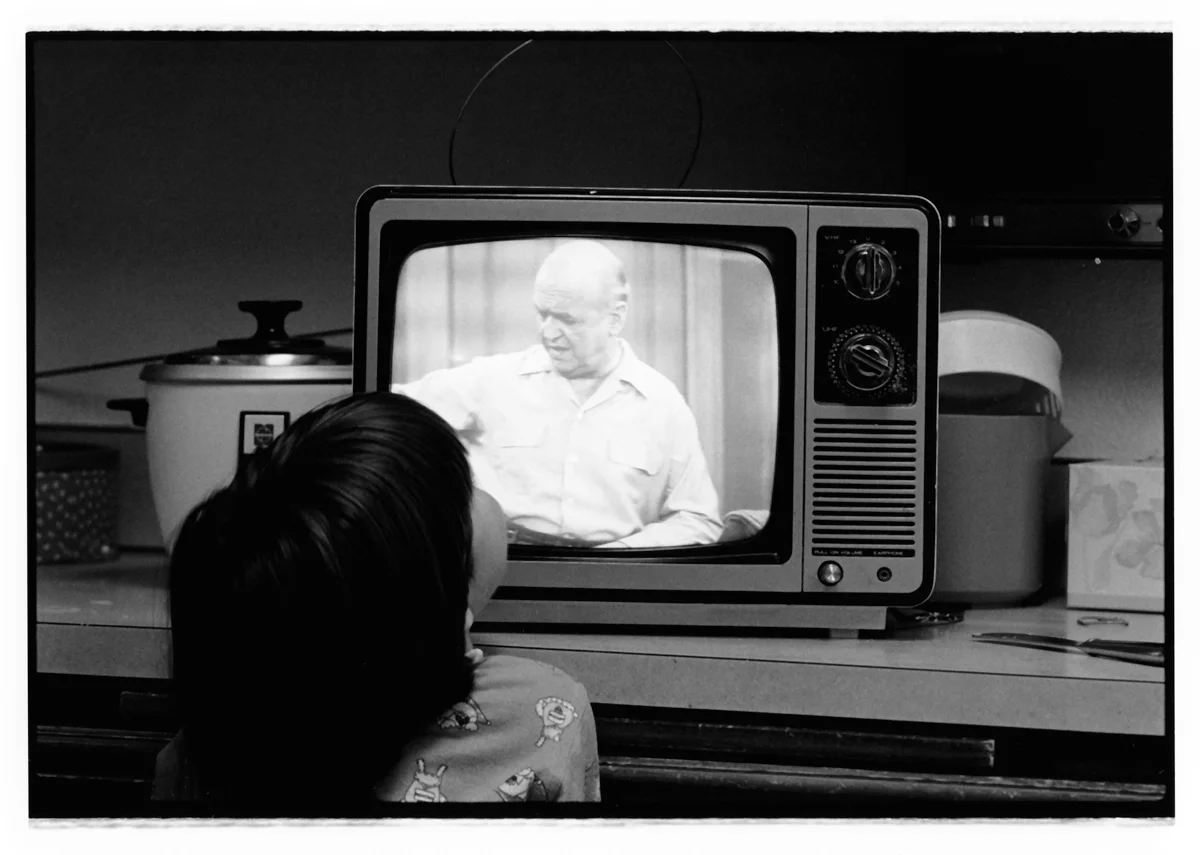 Fred Meets Therese - I Love Lucy was a regular rerun when my daughter was ten and a small black and white set was all we had for entertainment. William Frawley played Fred Mertz, an irascible character and foil to his wife Ethel, played by Vivian Vantz.