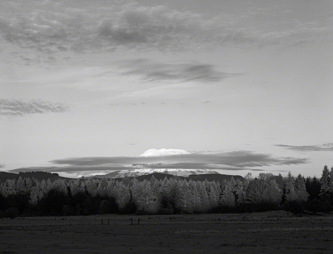 From Dogwood Park, Eatonville