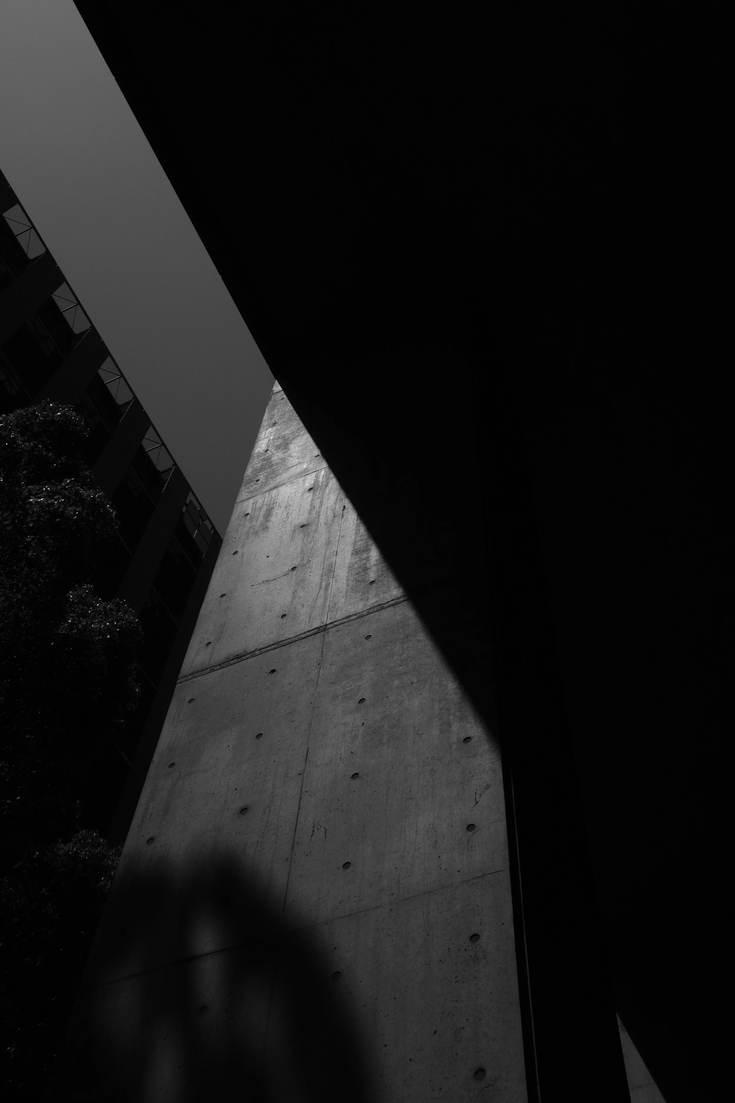 Decathlon / Digital Revamp