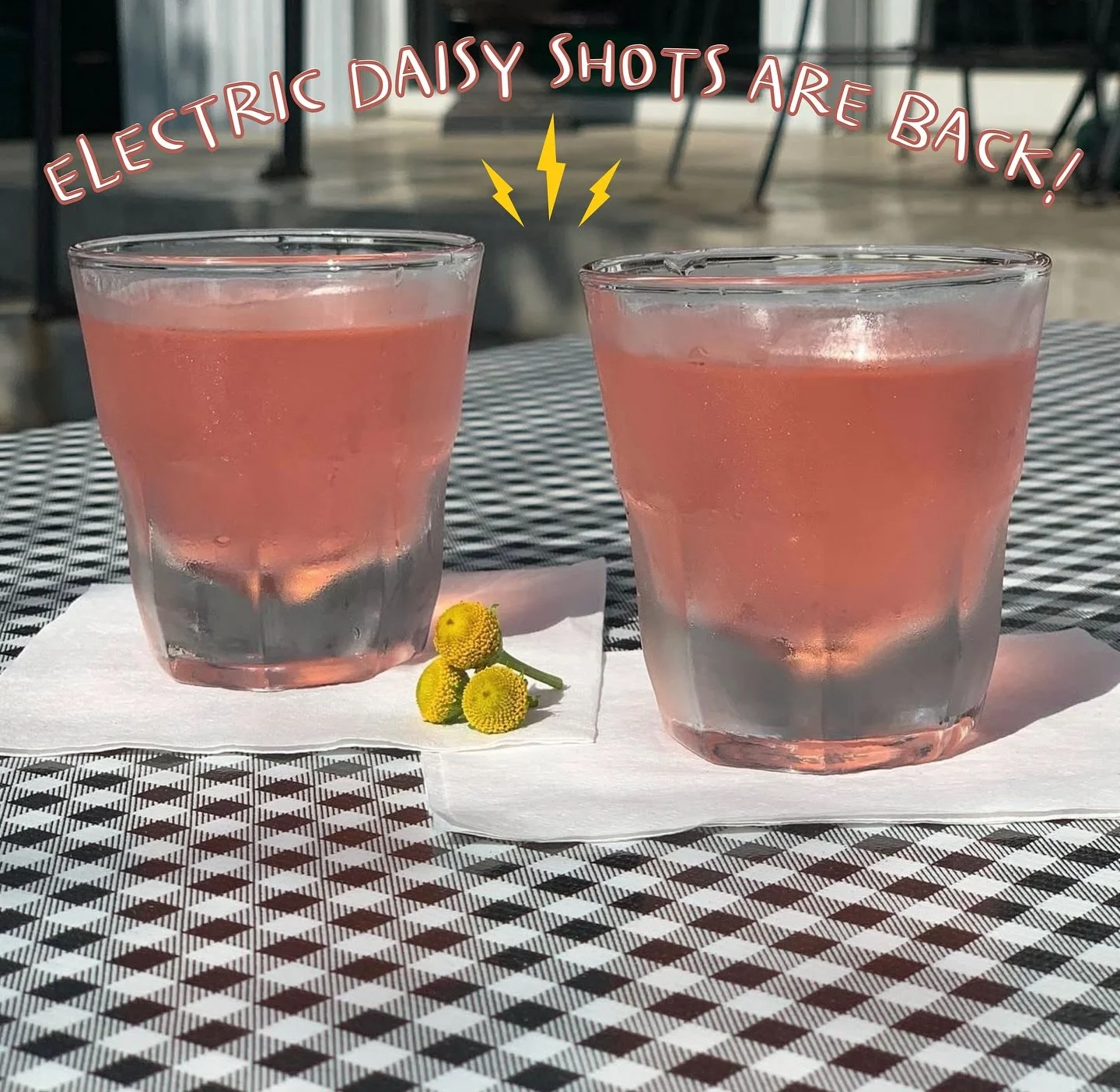 🌼 our beloved electric daisy shots are here for another season! If you’re new here, these aren’t your average shots - they literally make your mouth tingle! ⚡️🍃🌼 - limited while supplies last 💛