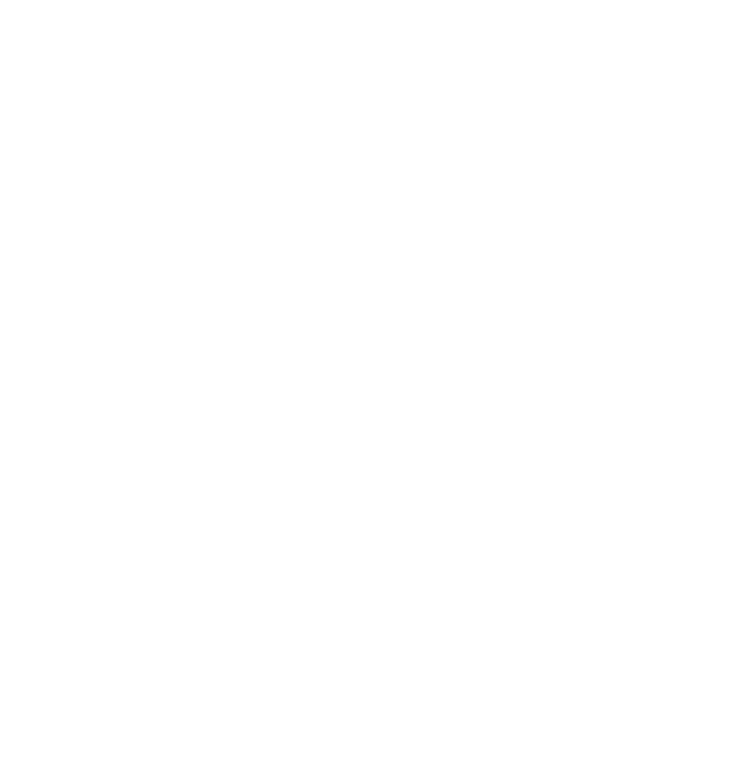 Hangar 9