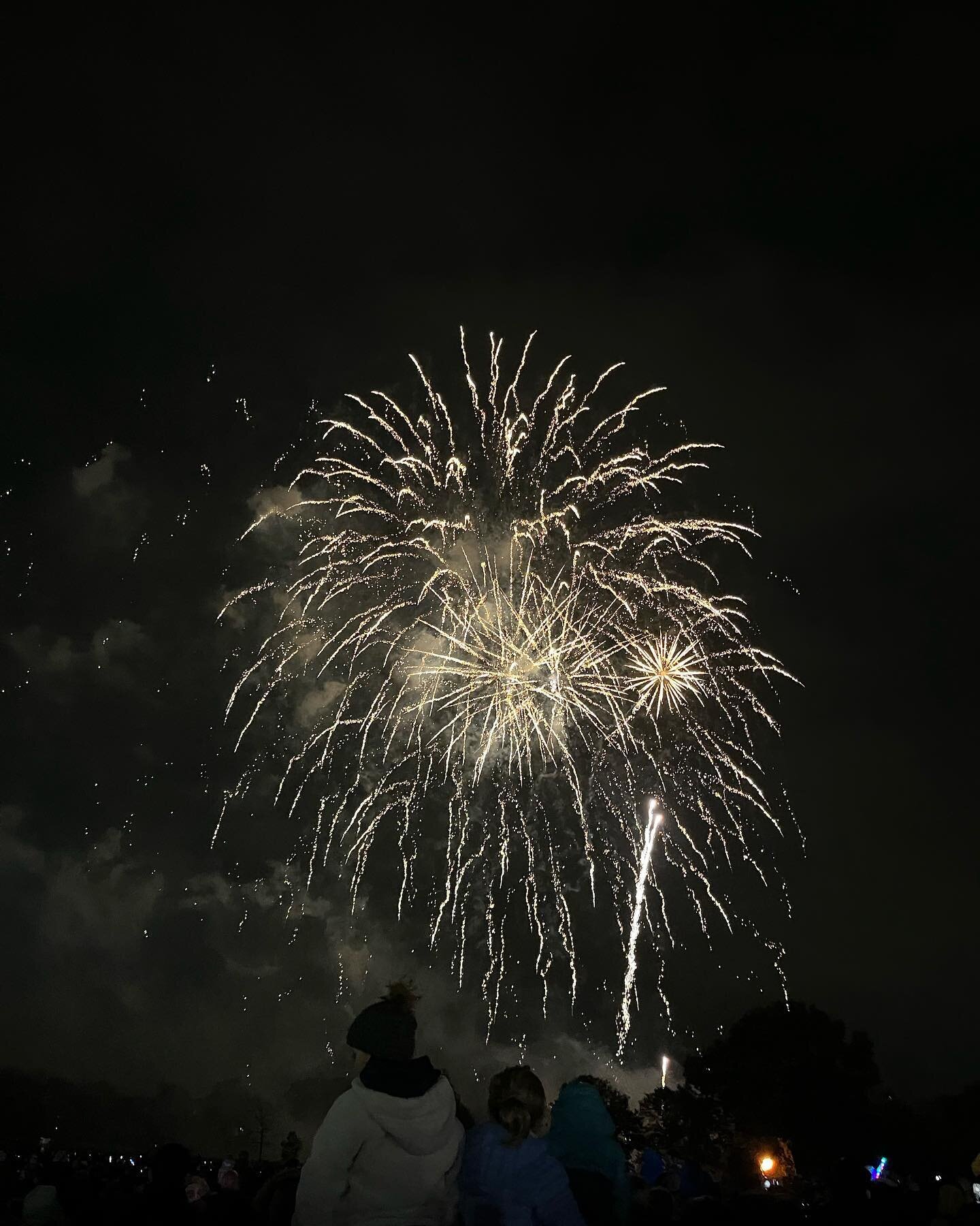 Annual fireworks 💥 display #fireworks #familytradition #merton