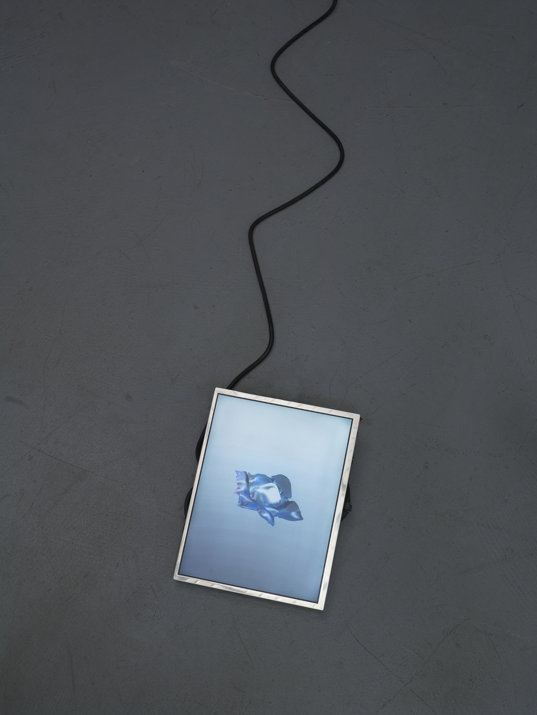 ETHERIC ANTENNA, 2016 custom display monitor, media player, 10” loop. CM066