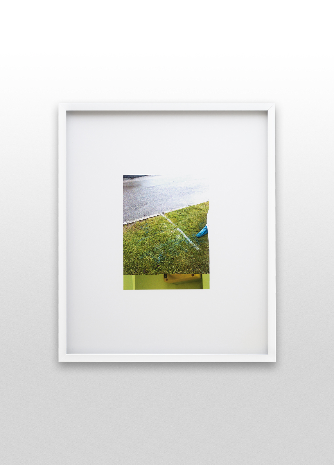 MG1272 (curb grass), 2014