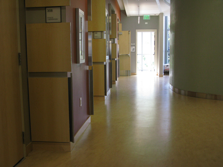 The hallway outside our lab and offices.