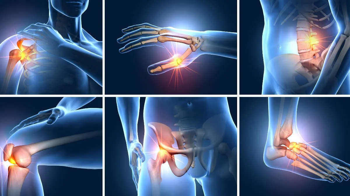 World Physiotherapy Day - 2023