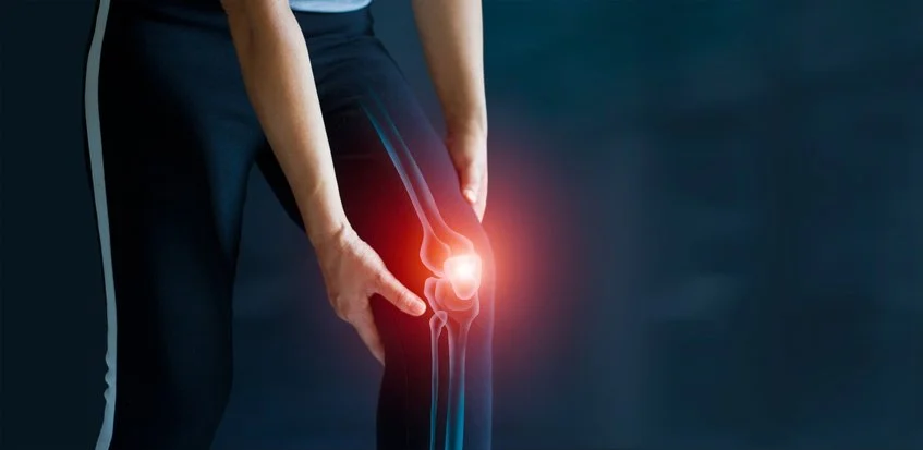 World Physiotherapy Day - 2023