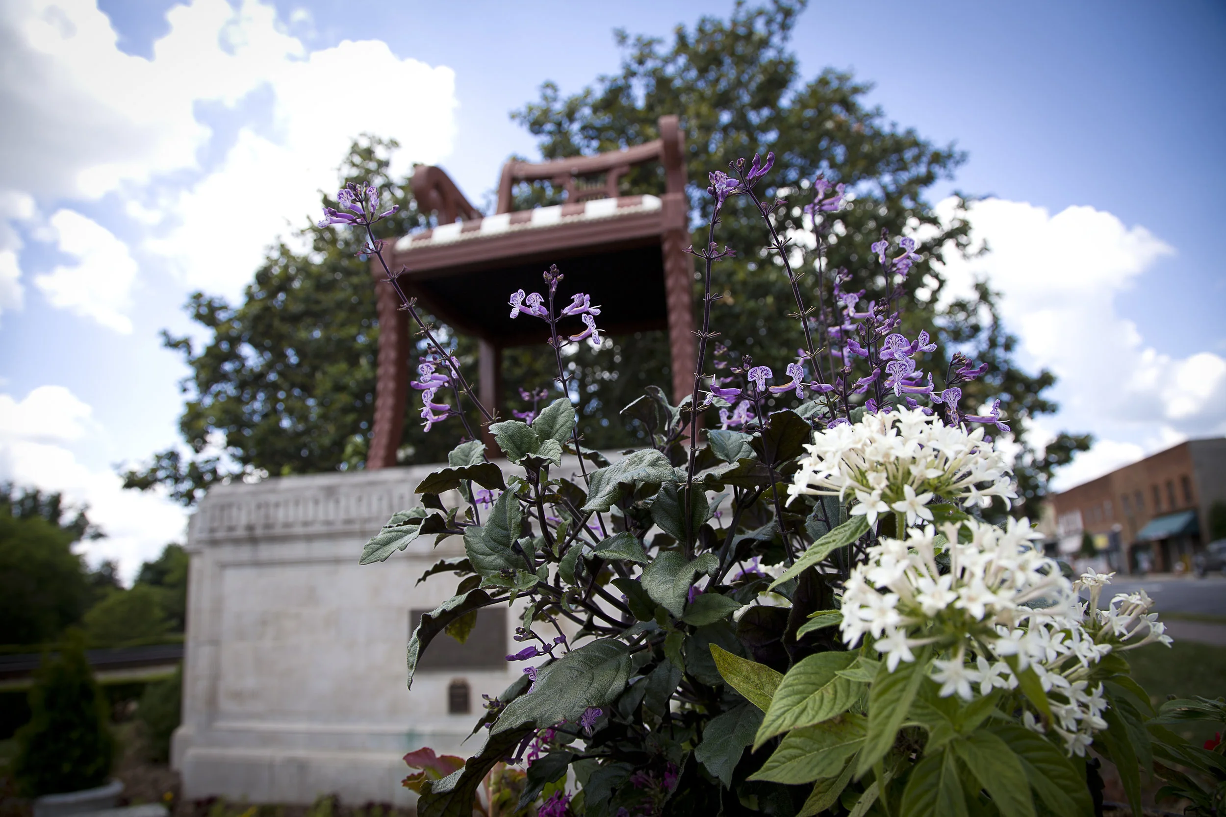 Copy of Chair-10 (2).jpg