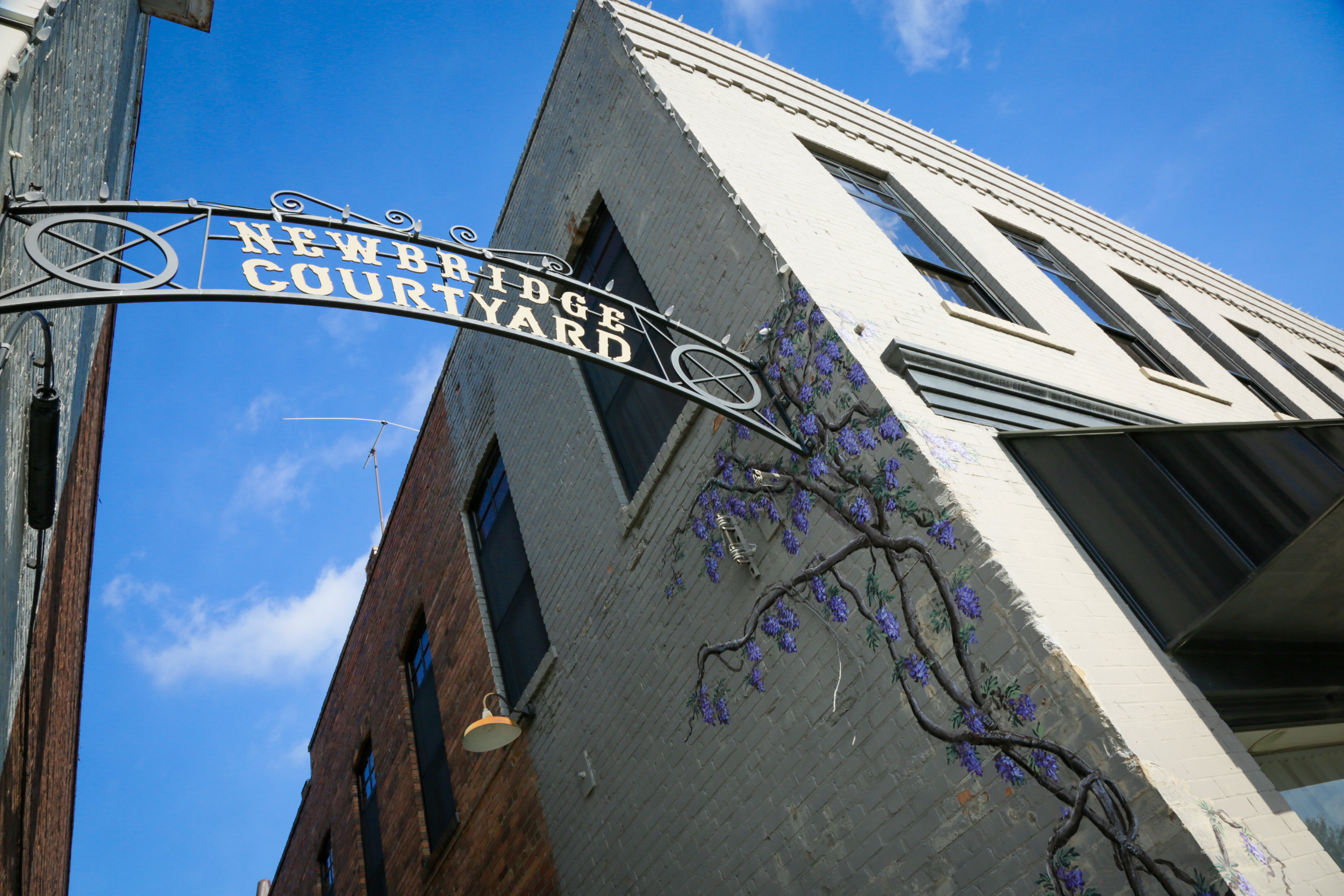 Newbridge Arch Courtyard with wisteria.jpg
