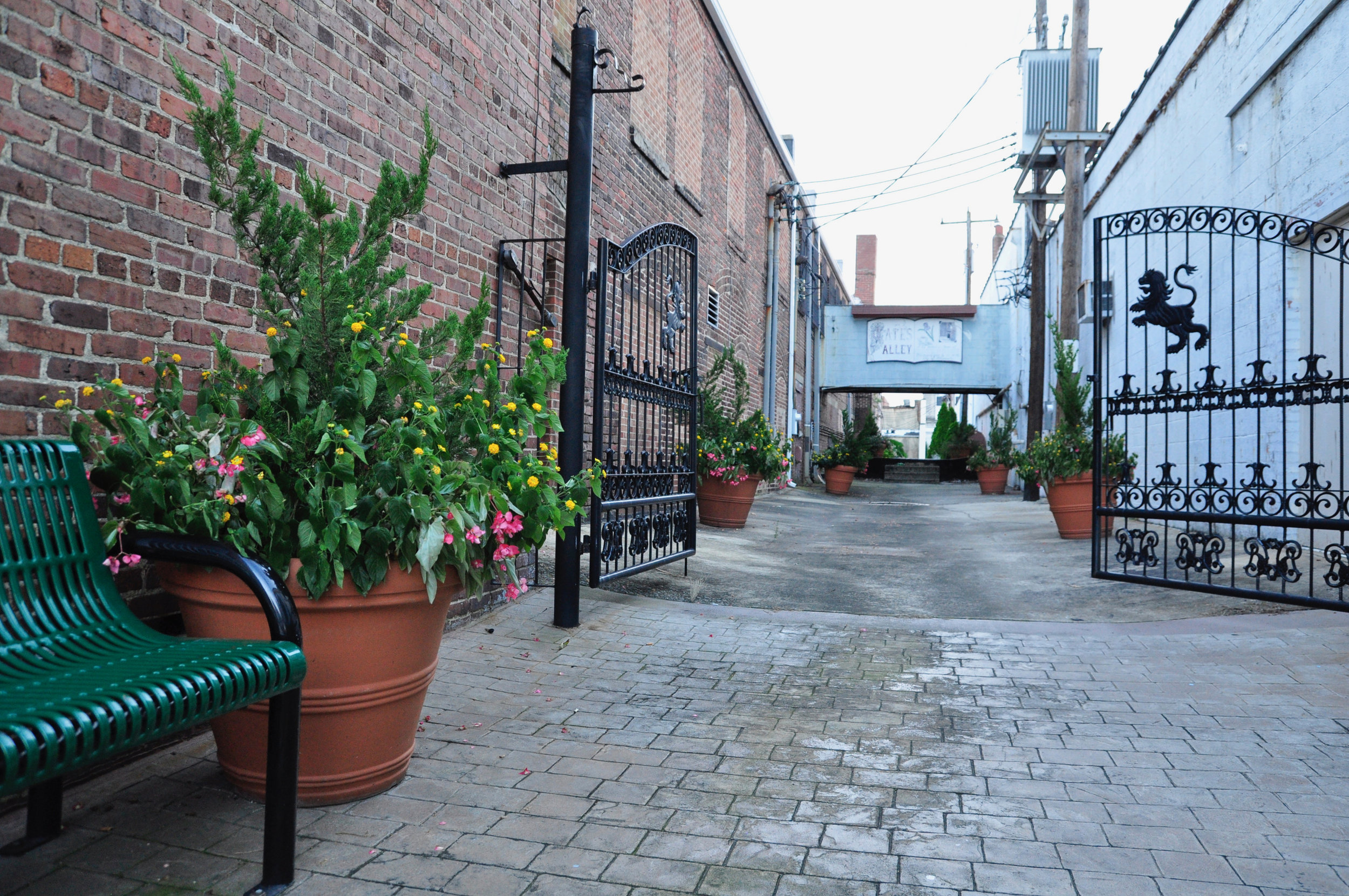Spring Into A City Filled With Adventure