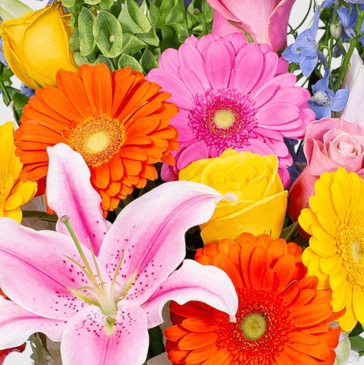 In search of gorgeous flower arrangements to delight Mom this Mother's Day? Swing by Herron House Flowers or browse online for their stunning bouquets and thoughtful gifts. Plus, they offer delivery straight to your doorstep! They are located at 18 W