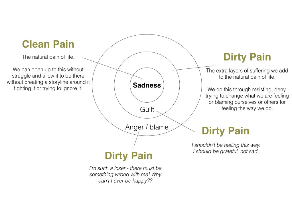 Clean vs dirty pain diagram.001.jpeg