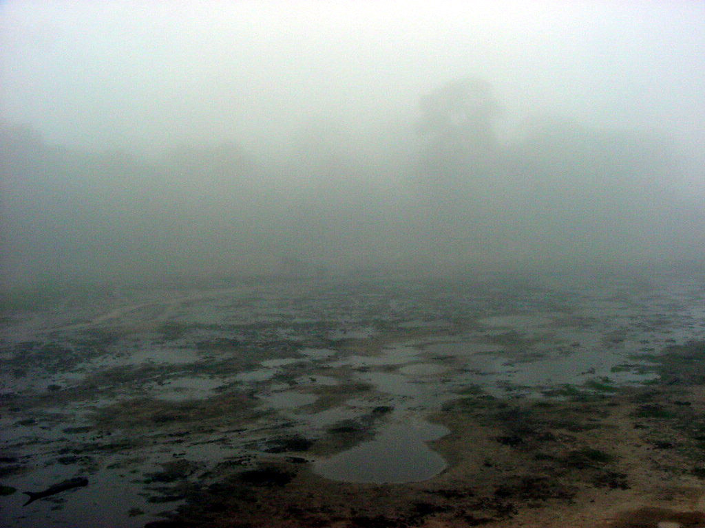 The Bai in Fog