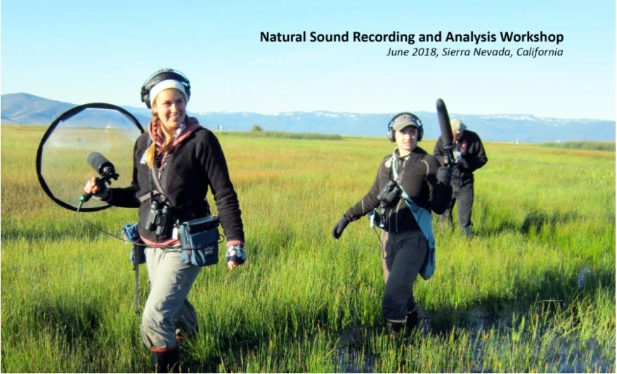 Natural Sound Recording Workshop.jpeg