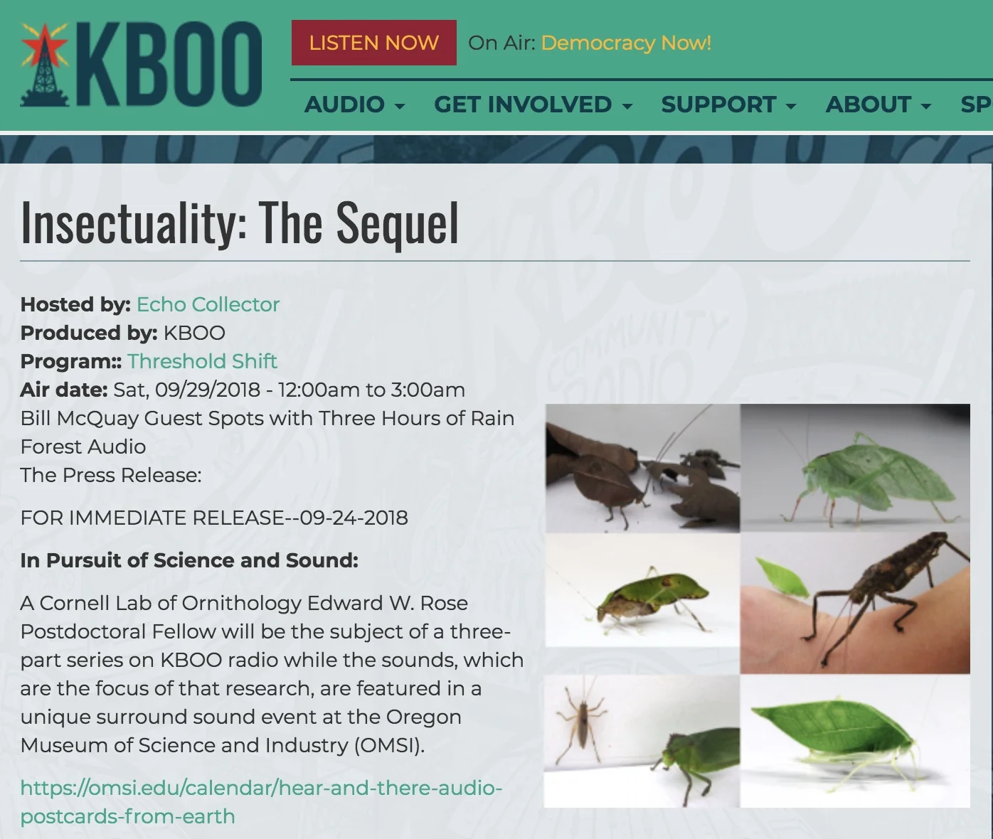 https://kboo.fm/media/68053-insectuality-sequel