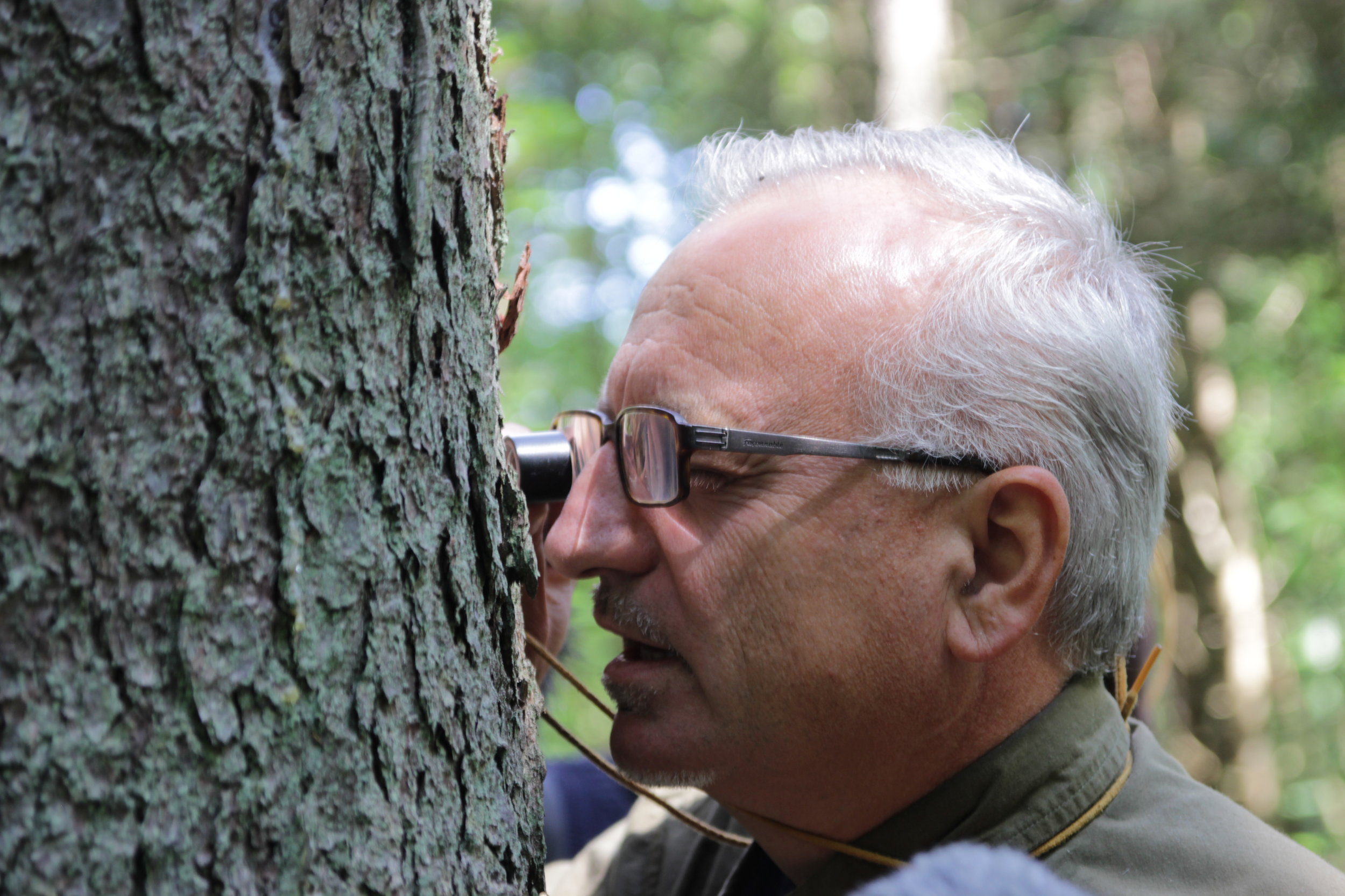 sound-reporting-co-lab-in-bialowieza-poland_48323614722_o copy.jpg