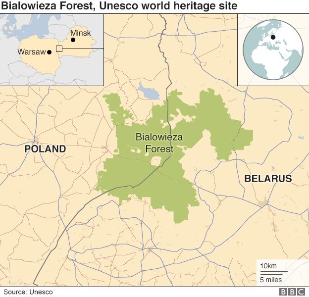 _96917425_poland_belarus_forest_map_v2_624.jpg