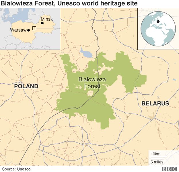 _96917425_poland_belarus_forest_map_v2_624.jpg