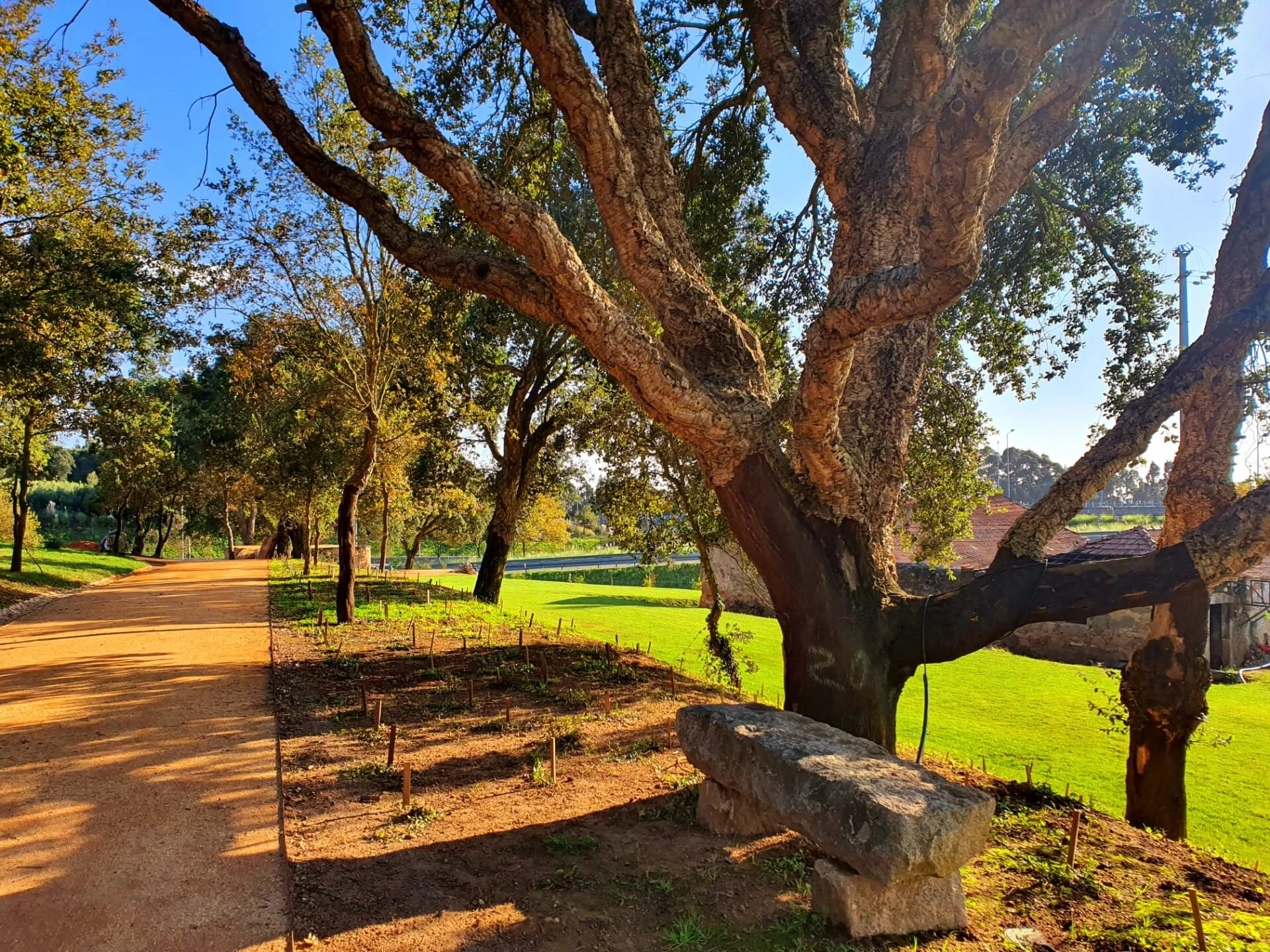 WhatsApp Image 2020-10-27 at 16.45.35 (8).jpeg