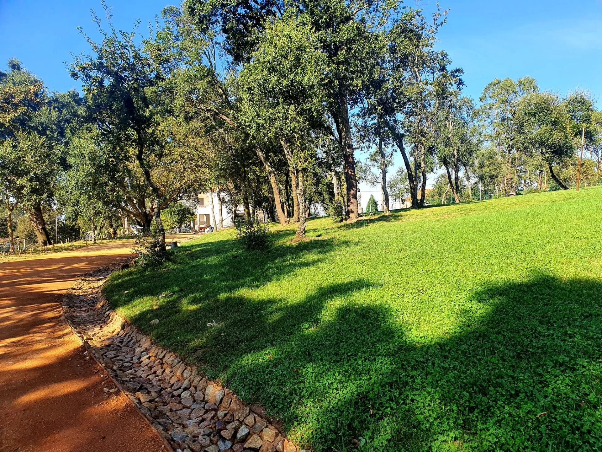 WhatsApp Image 2020-10-27 at 16.45.36 (1) (1).jpeg