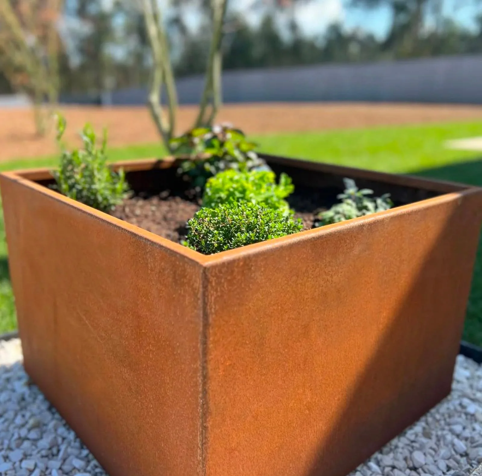 Temos novidades na Plantox Store!

Neste momento podes aproveitar 10% na primeira compra com o c&oacute;digo PRIMEIRA10 e 20% em floreiras e lancis Corten em compras superiores a 1.000 &euro; com o c&oacute;digo CORTEN20.

Al&eacute;m das solu&ccedil