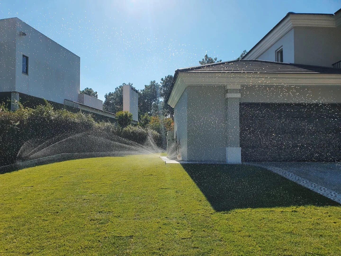 Prepara&ccedil;&atilde;o do terreno e instala&ccedil;&atilde;o de relva natural e de sistema de rega em Aroeira&hellip; Todo o servi&ccedil;o feita pela equipa Plantox.

Para pedir o seu or&ccedil;amento, entre em contacto connosco atrav&eacute;s de 