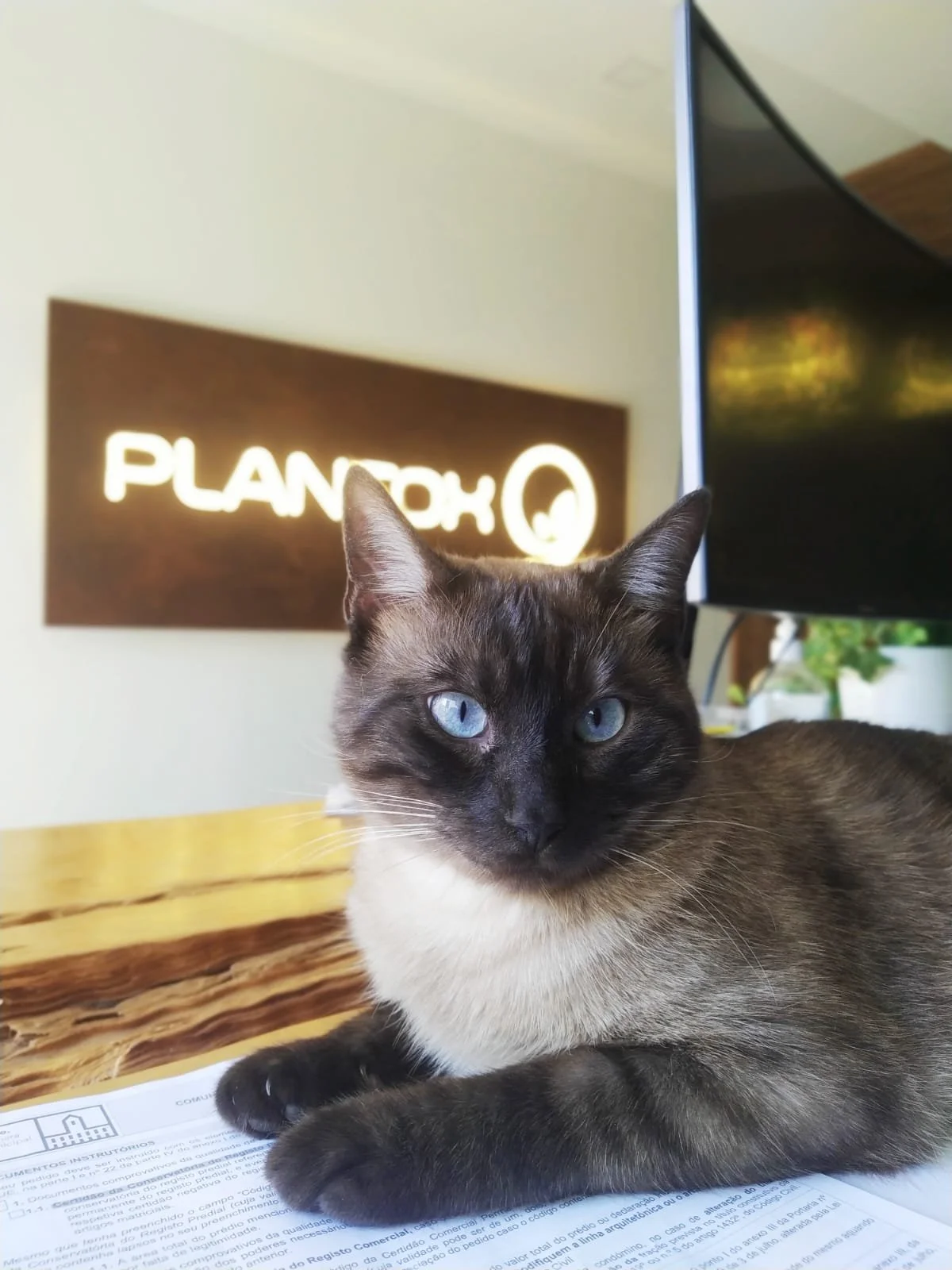 Quem Somos Plantox Quem Somos Plantox