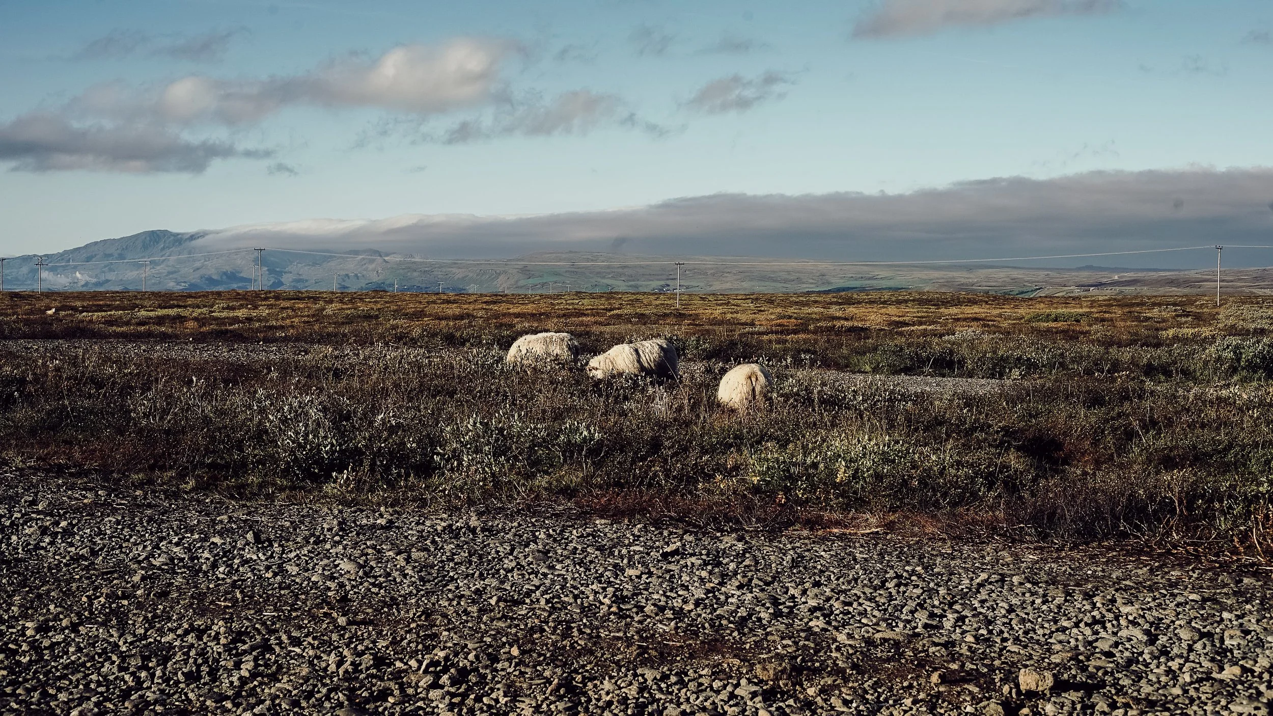 DSC02249-min.jpg