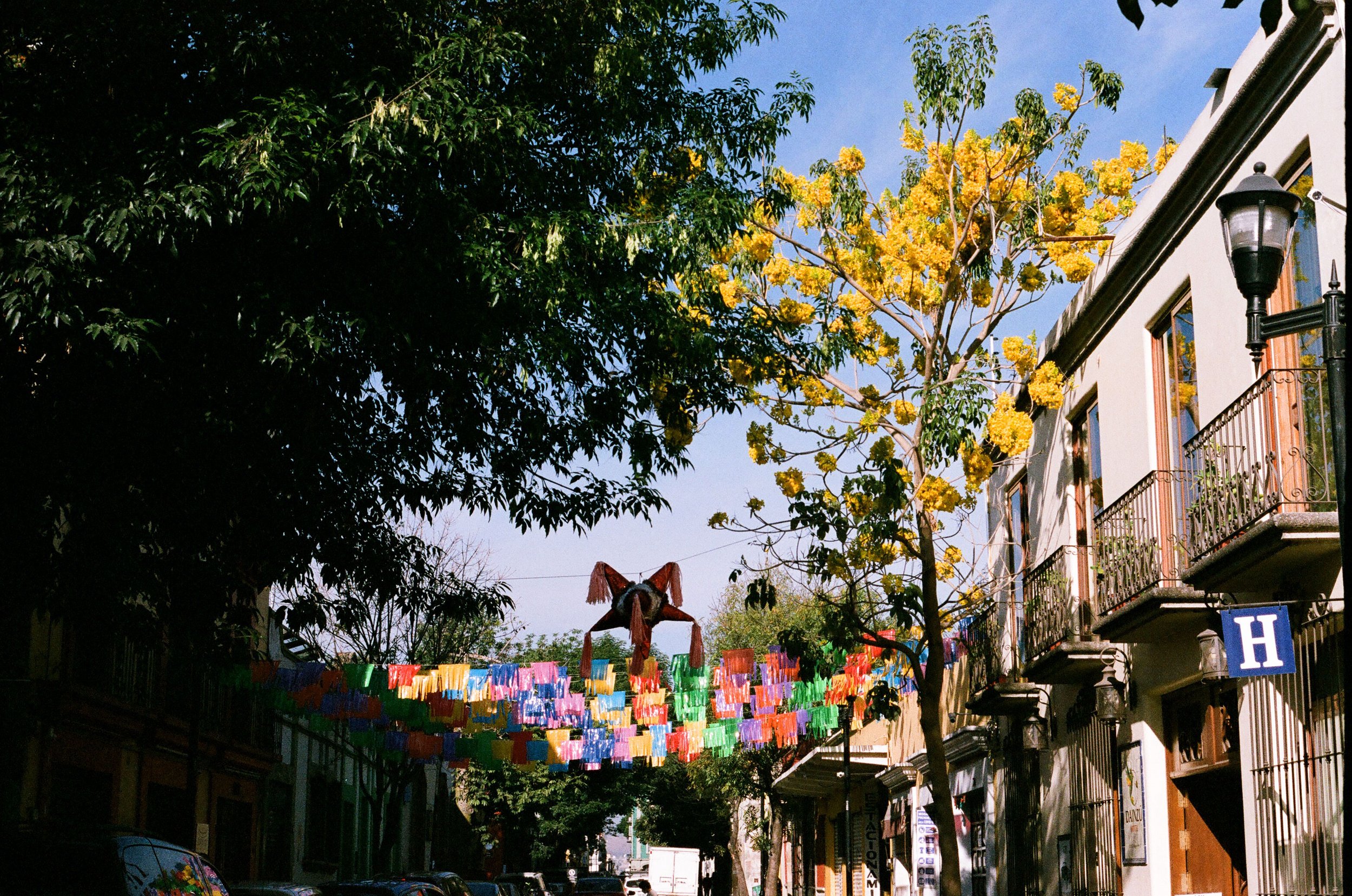 Hidalgo-Ave.jpg