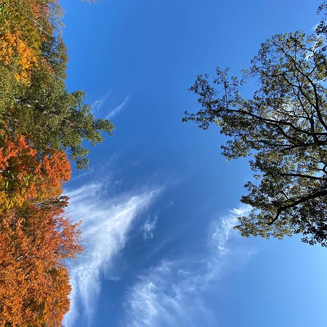 The change 🍁 &bull;
&bull;
&bull;
#nature #leaves #foliage #sevensprings #iphone11pro #sky #iphonography #clouds