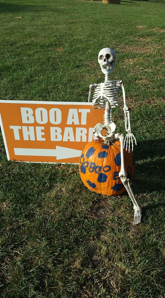 Boo pumpkin skeleton.jpg