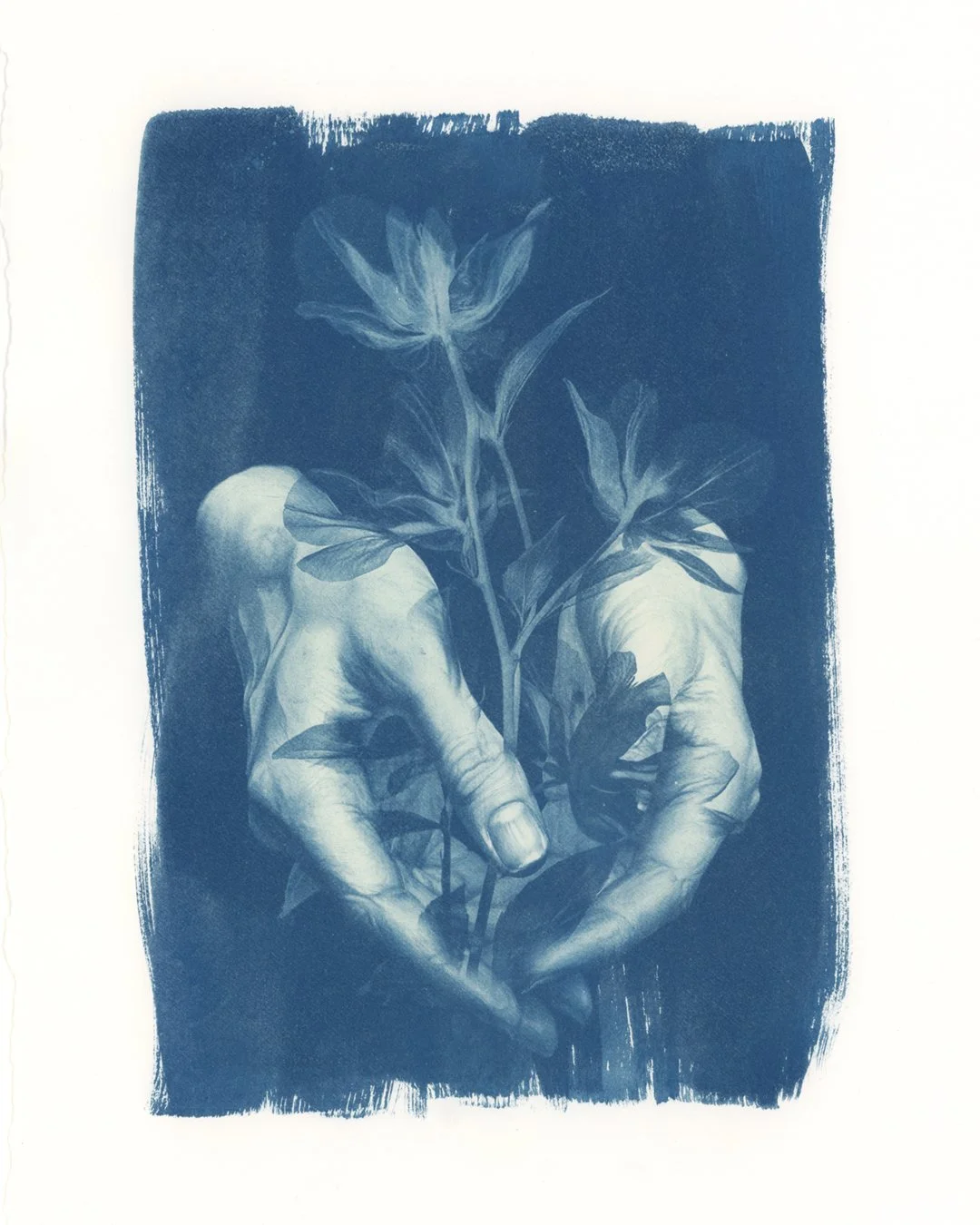 earthborn hands_8_small.jpg