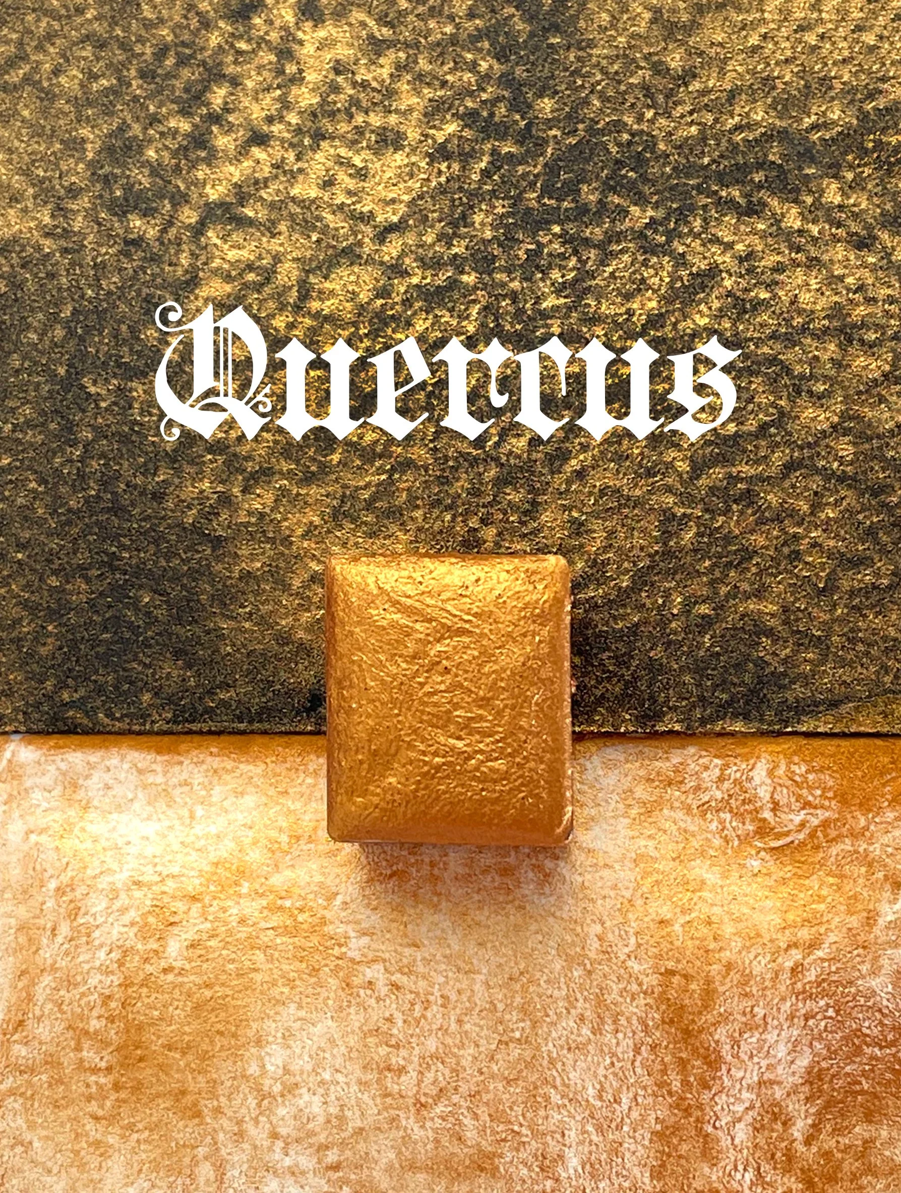 quercus_3 x 4.jpg