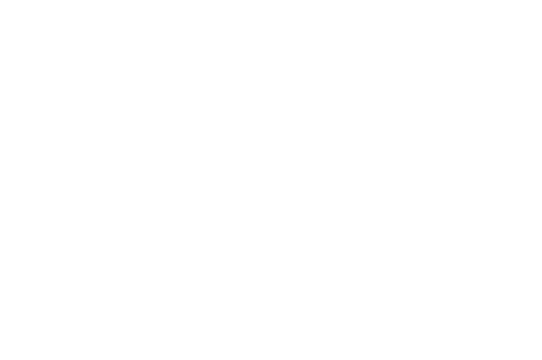 OFFICIAL SELECTION - White Lights City Film Festival - 2017 (1).png