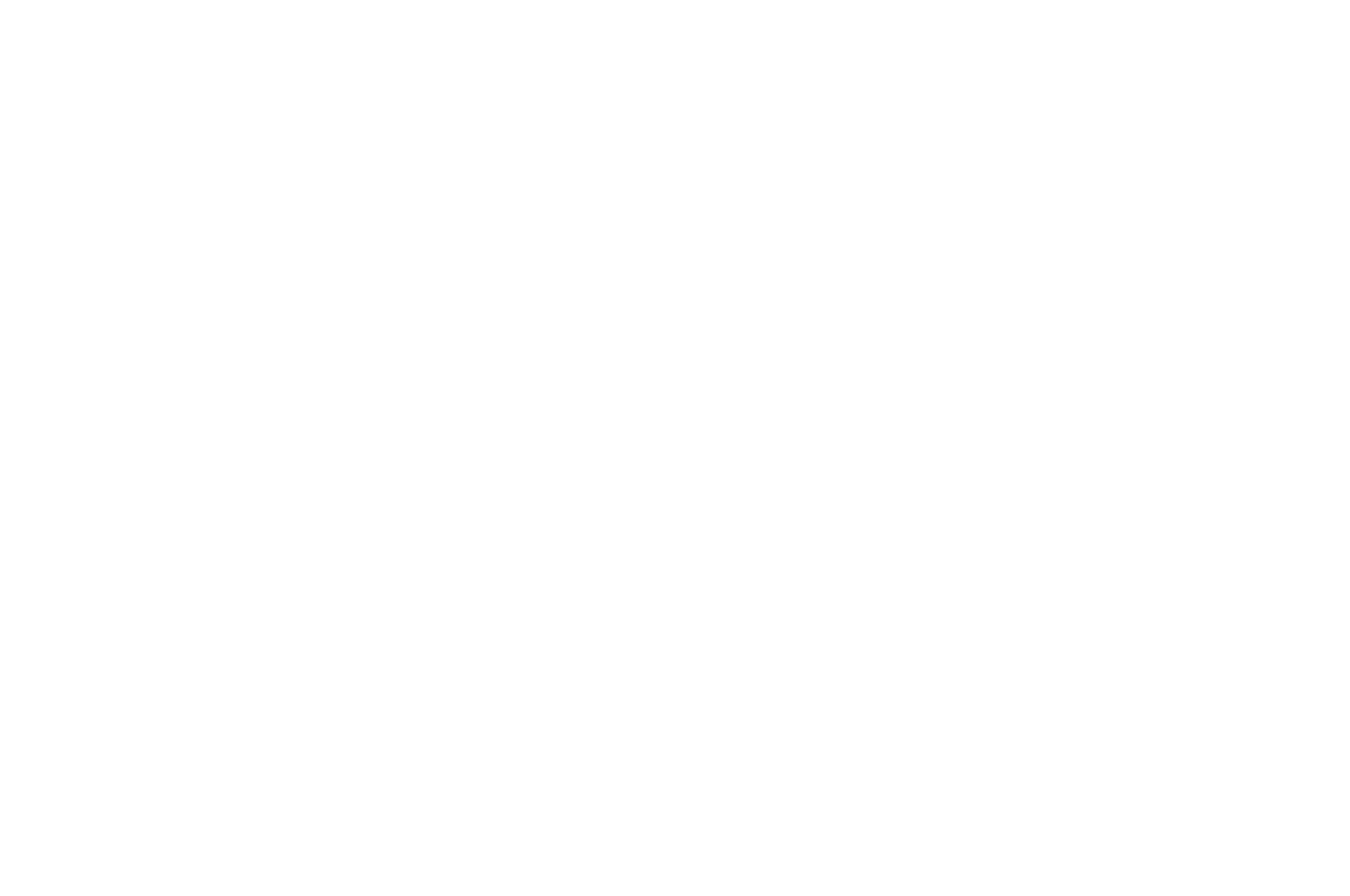 OFFICIAL SELECTION - Omaha Film Festival - 2014.png