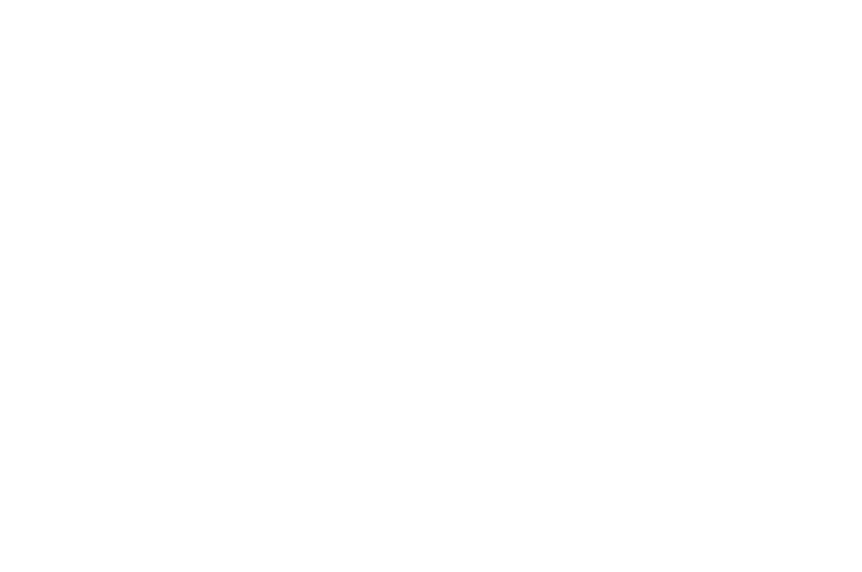 OFFICIAL SELECTION - Nebraska Alternative Cinema Showcase - 2014.png